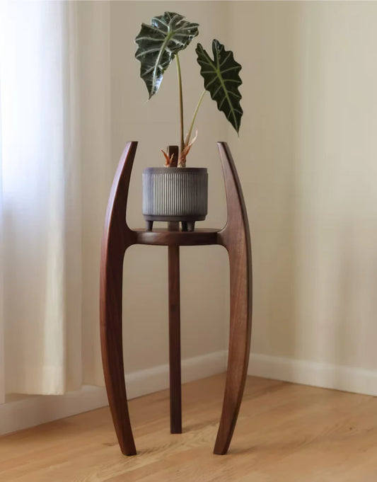 The Nexus Wooden Plant Stand | Teak Wood