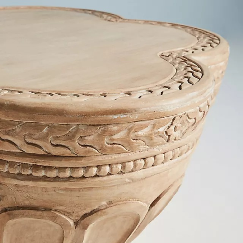 Antique Carved Center Coffee Table With Storage | Mango Wood