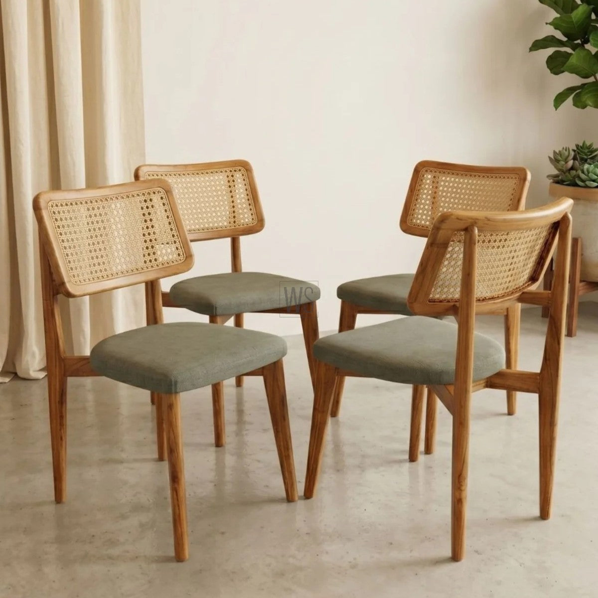 Four wooden chairs with wicker backrests and gray cushions in a room with light-colored walls and a plant.